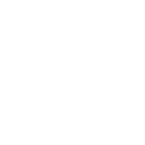 sport logo LPGA