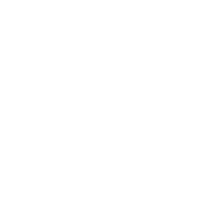 sport logo PremierLeague